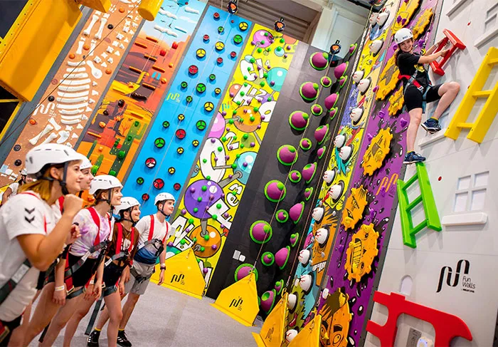 PE Board Climbing Wall