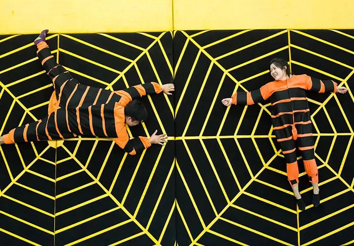 Spider Wall